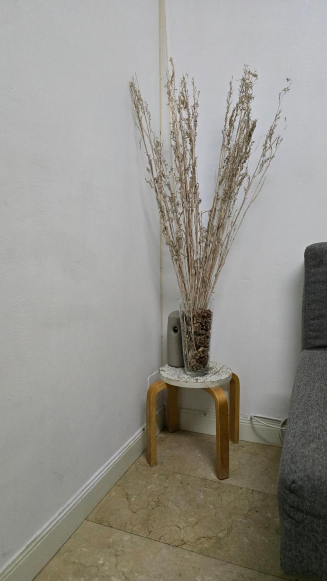 Mini Apartamento Lovely Chueca マドリード エクステリア 写真